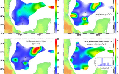Sediment accumulation rates and carbonate fluxes of deep-sea sediments in the southern Gulf of Mexico