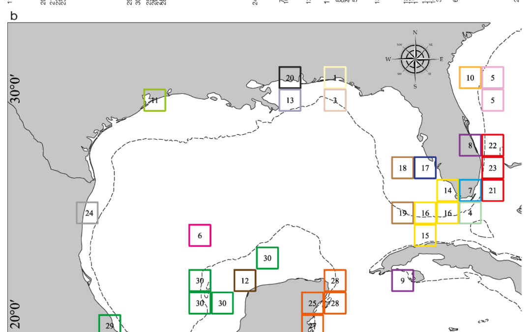Biogeographic patterns of hydrozoans in the Gulf of Mexico and adjacent waters: biological assemblages, beta diversity, and endemism.