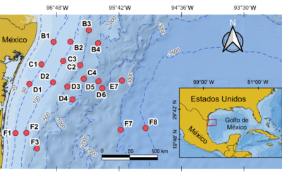 Fish community structure along a depth gradient at the Western Gulf of Mexico