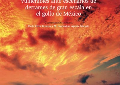 Regiones, especies y ecosistemas vulnerables ante escenarios de derrames de gran escala en el golfo de México